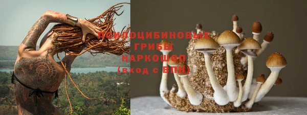 ГАЛЛЮЦИНОГЕННЫЕ ГРИБЫ Волосово