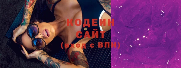 скорость Вяземский