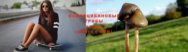 ГАЛЛЮЦИНОГЕННЫЕ ГРИБЫ Волосово